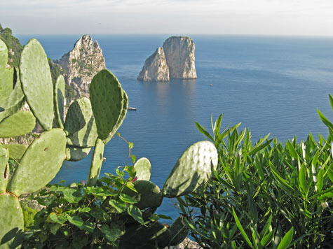 Guide to Capri Italy